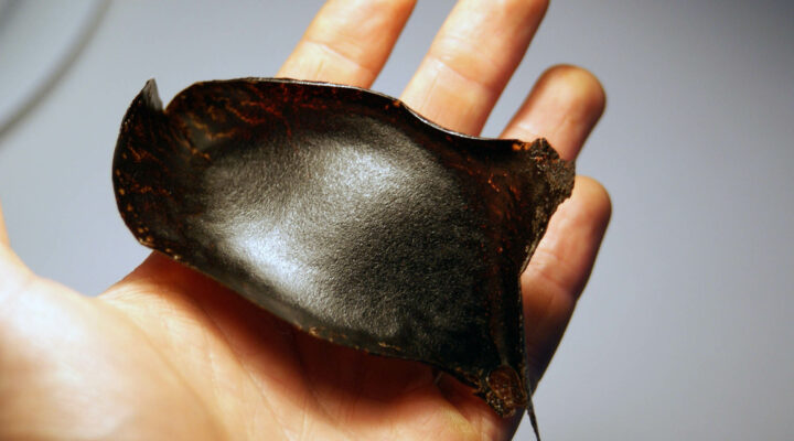 Innovative and sustainable materials from coffee waste - Materially