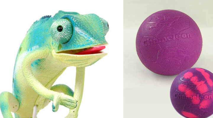 Chameleonic products - Materially