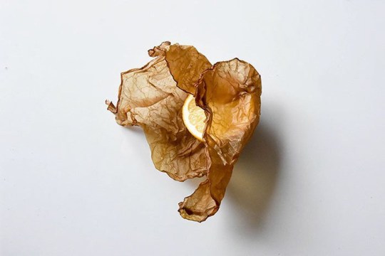 scoby4