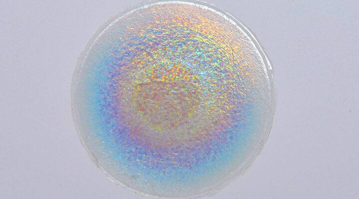 Bio iridescent sequin elissa brunato sustainable design - Materially