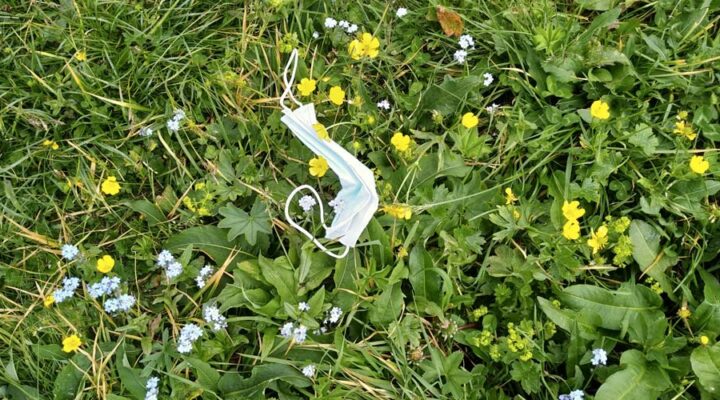Packaging e plastica usa e getta - Materially