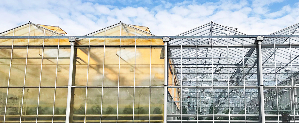 transparent solar panels materially