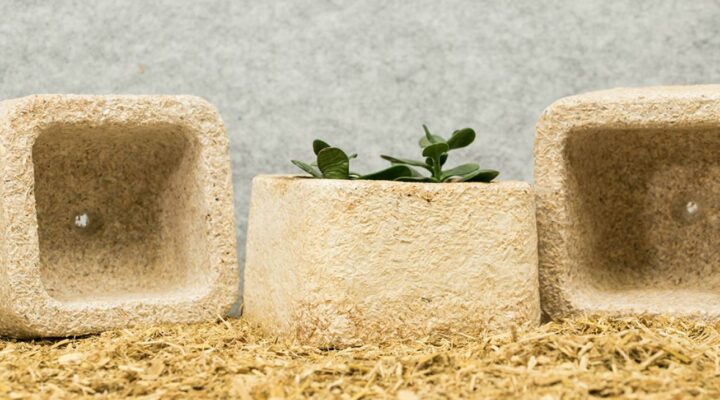 Bio manufacturing piatforms to build the future - Materially