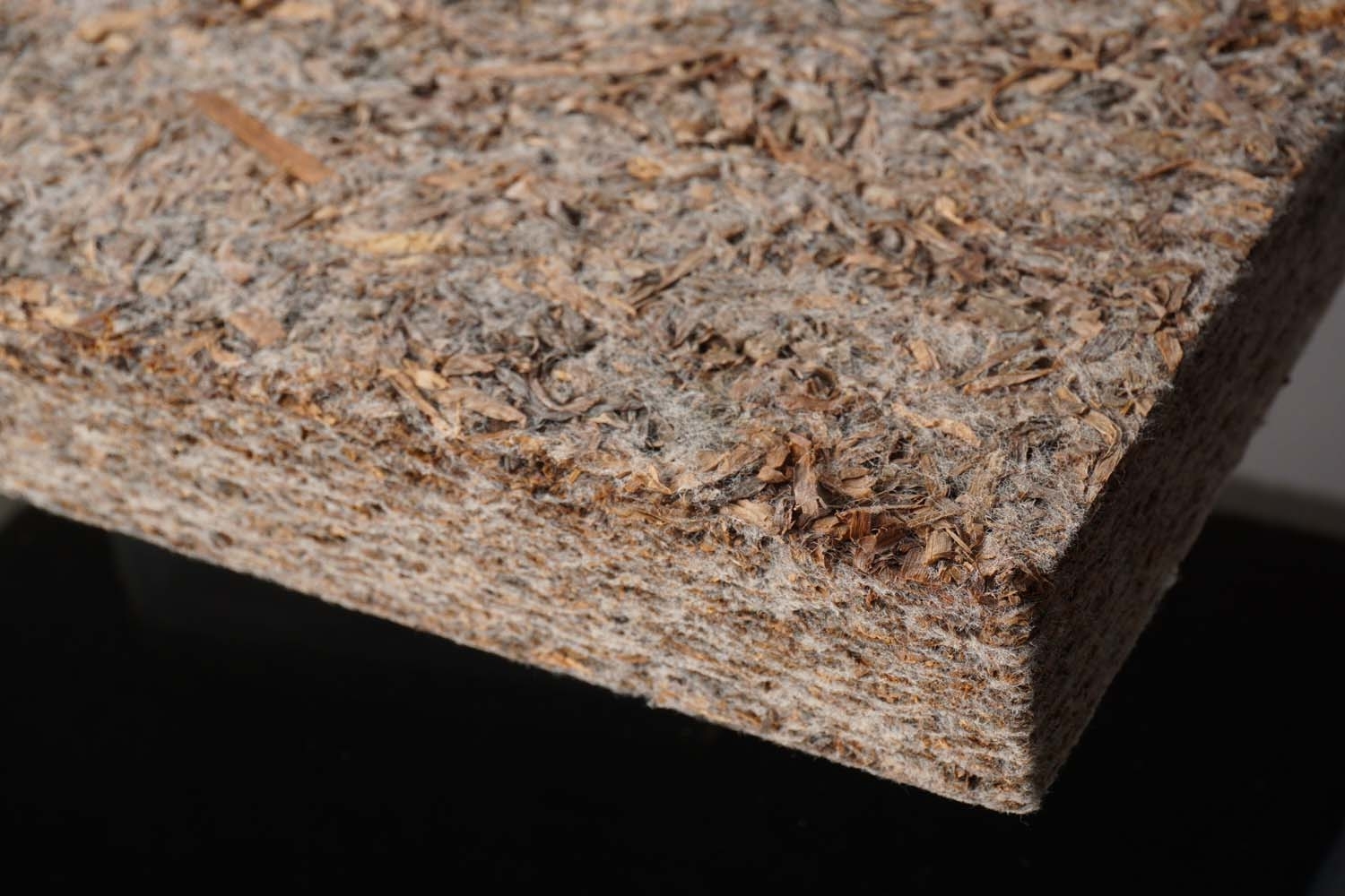 Da foglie spiaggiate a materiale performante - Materially
