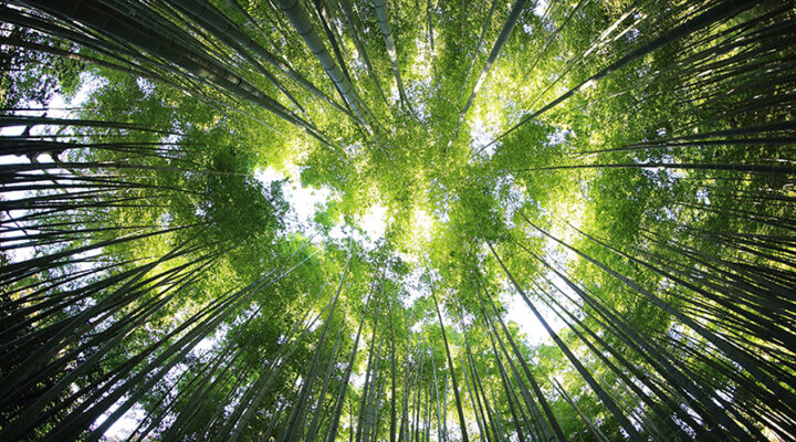 Circular materials for ecological transition in the furniture sector - Materially