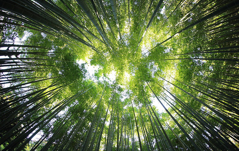 Circular materials for ecological transition in the furniture sector - Materially