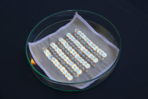 Elissa Brunato Bio Iridescent Sequin - Materially