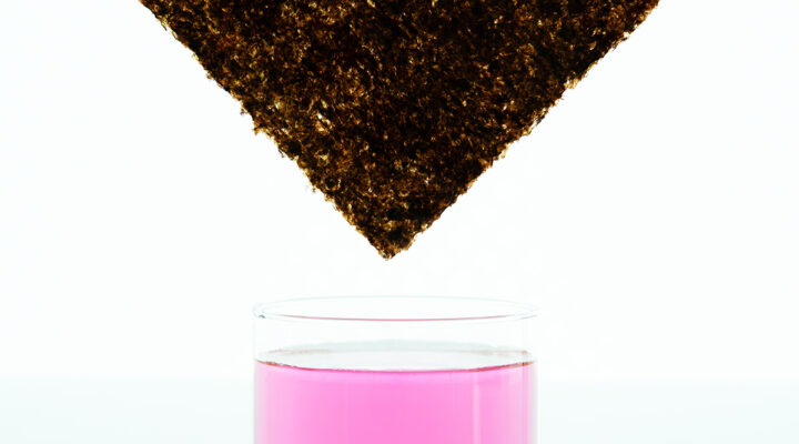 Mogu nori pigment - Materially