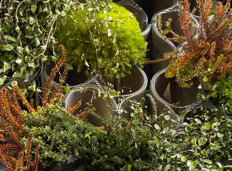 Biomic wall - Materially