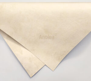 Anolea