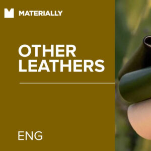 Other leathers