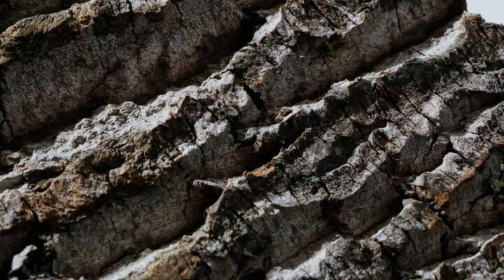 Materiali innovativi per un design circolare Innovative materials for circular design