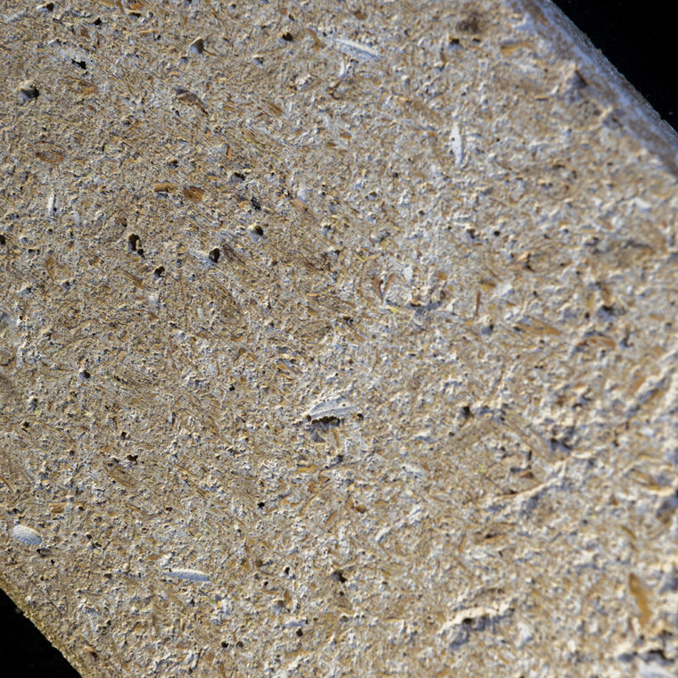 BioMaterials-ParaStruct-© Julian Dutzler (12)