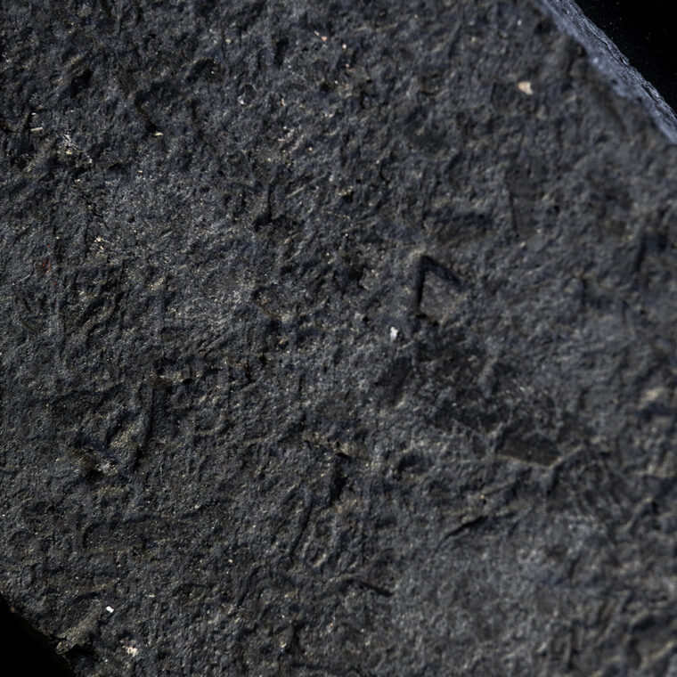 BioMaterials-ParaStruct-© Julian Dutzler (14)