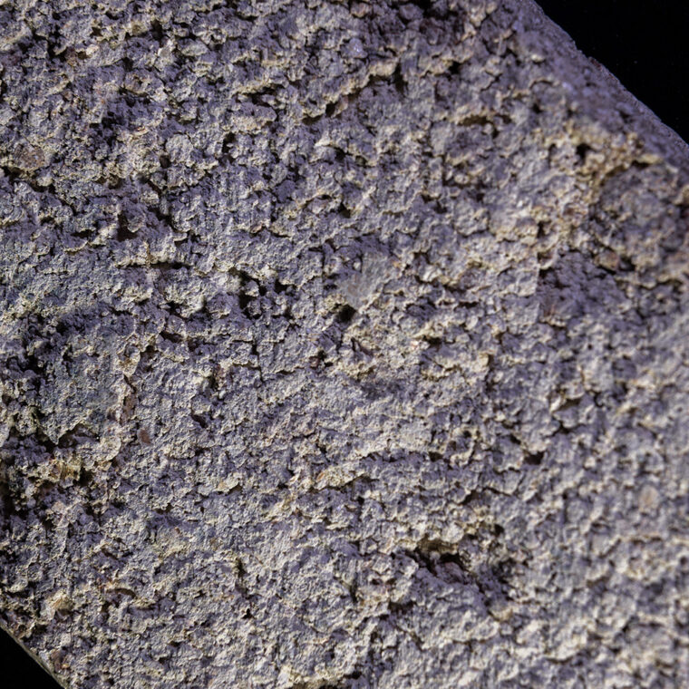 BioMaterials-ParaStruct-© Julian Dutzler (15)