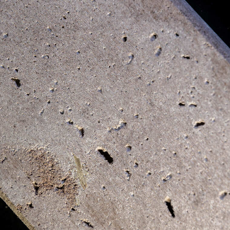 BioMaterials-ParaStruct-© Julian Dutzler (4)