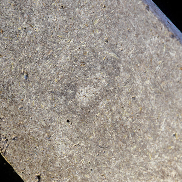 BioMaterials-ParaStruct-© Julian Dutzler (5)