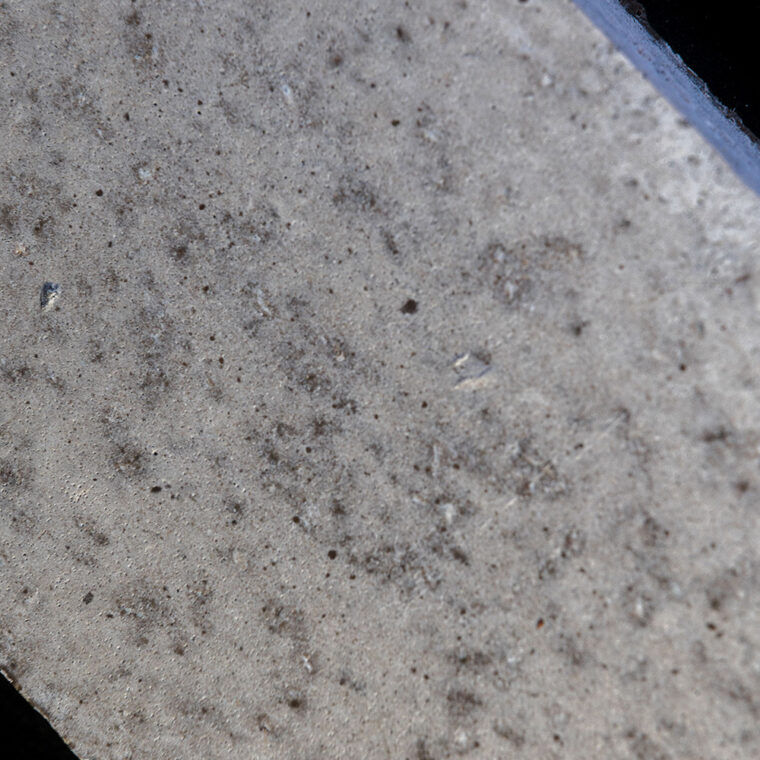 BioMaterials-ParaStruct-© Julian Dutzler (6)