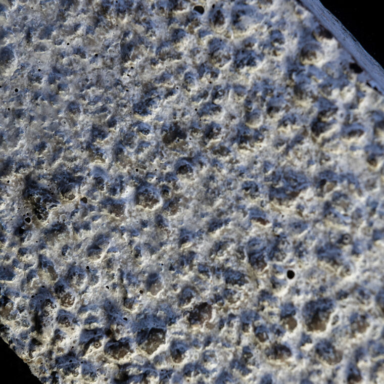 BioMaterials-ParaStruct-© Julian Dutzler (8)